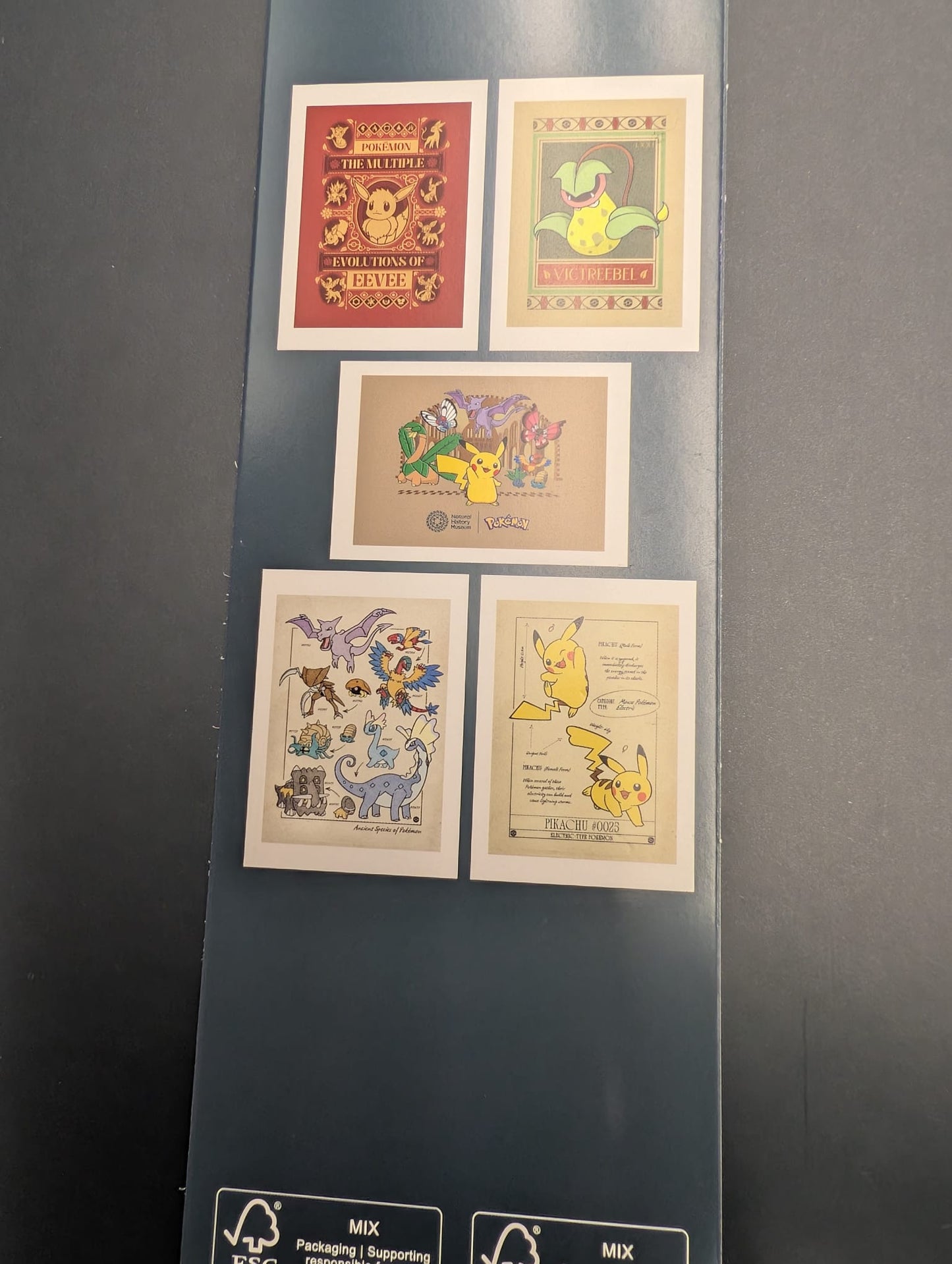 A3 Art Print Set, 5 Posters - Pokémon x Natural History Museum Exclusive.