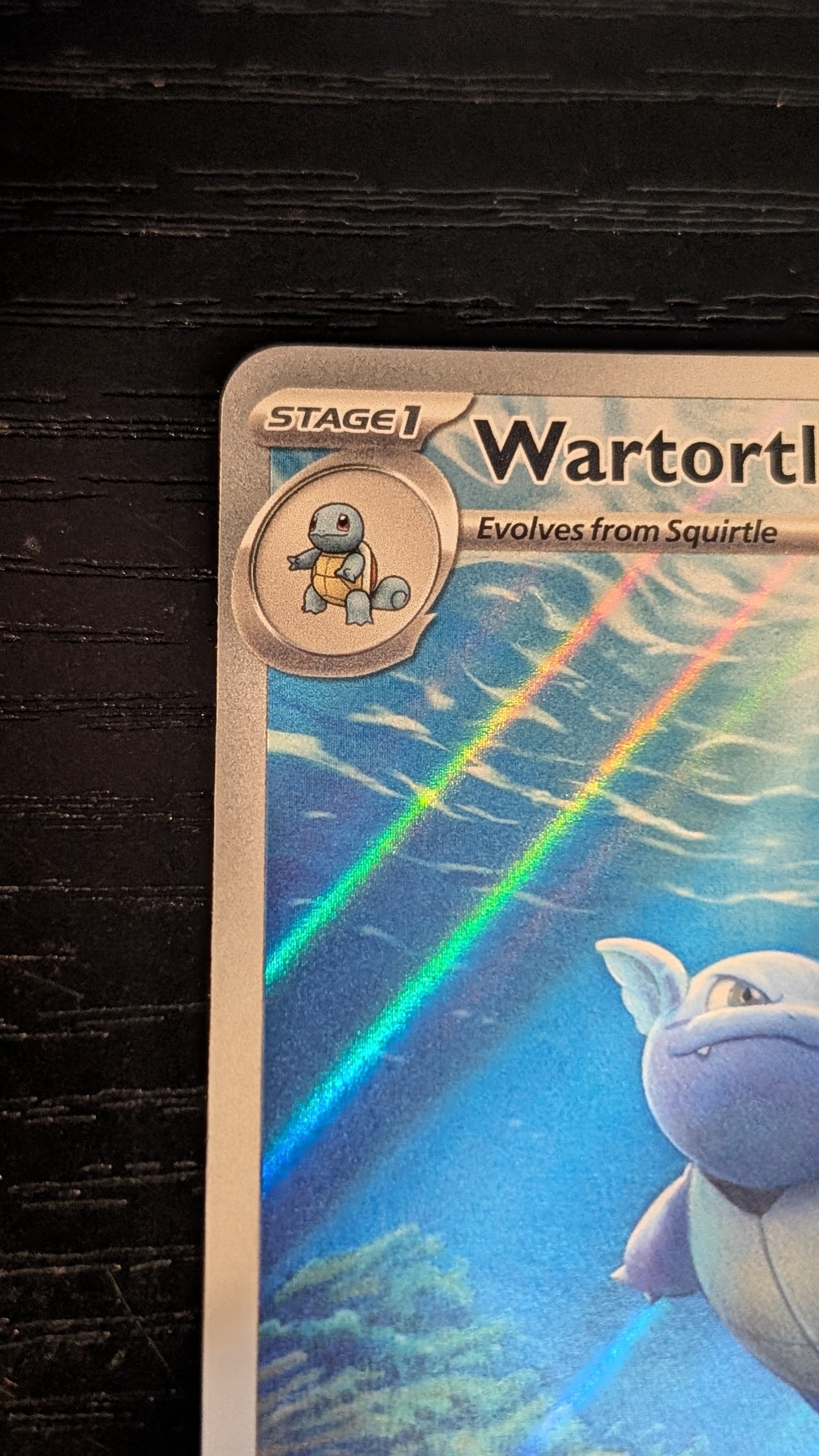 Wartortle - 171/165 - English 151