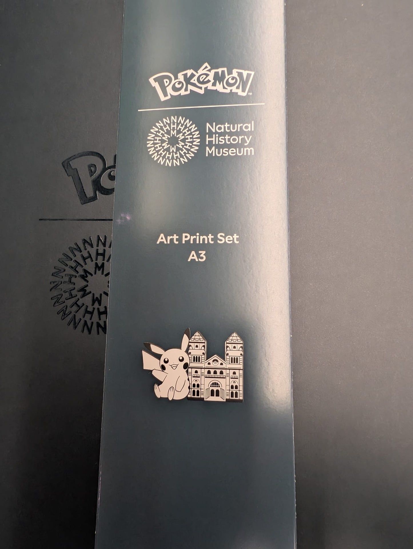 A3 Art Print Set, 5 Posters - Pokémon x Natural History Museum Exclusive.