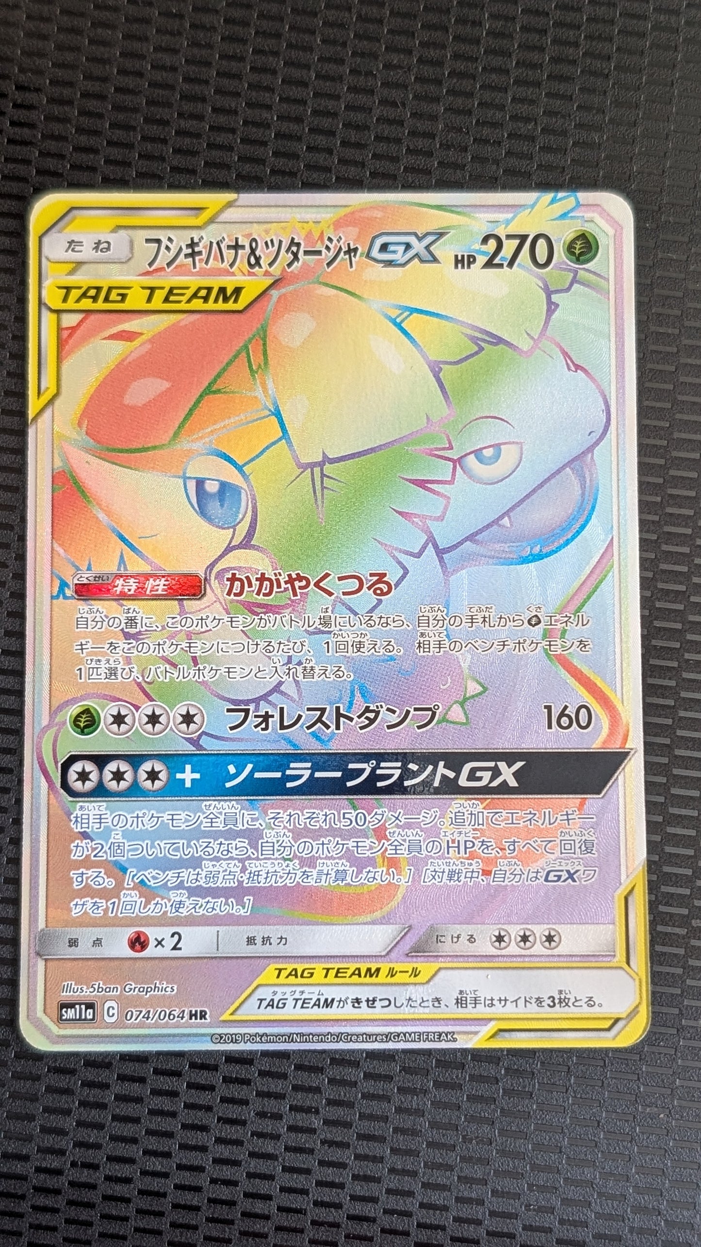 Venusaur & Snivy - 074/064 HR - Tag Team GX