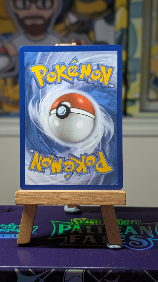 _’s Birthday Pikachu 24 - Celebrations