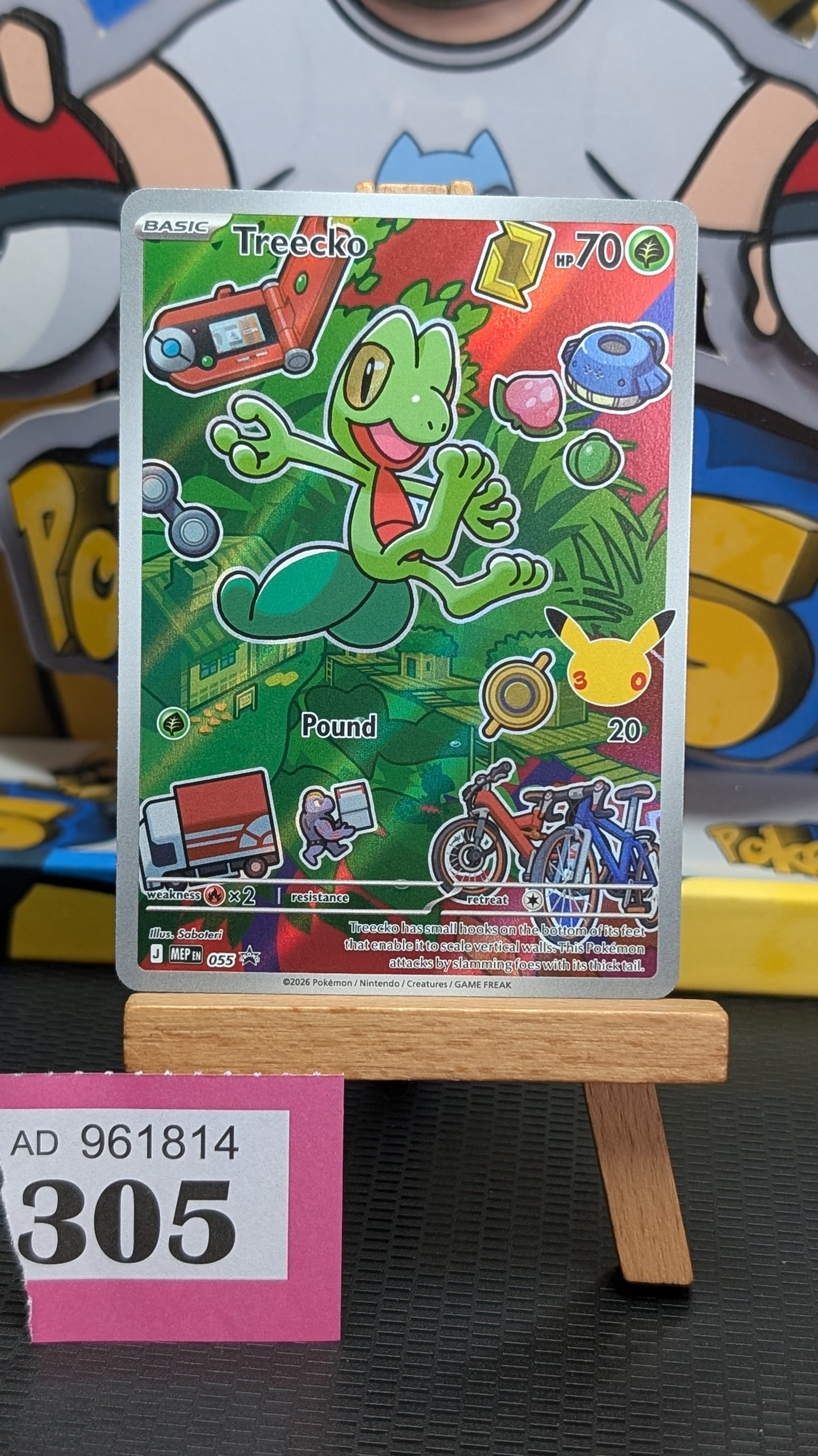 First Partner Series 3 - Treeko 055 Torchic 056 Mudkip 057.